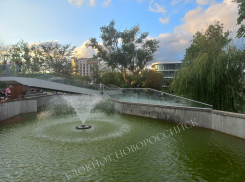 «Пруд пахнет рыбой, тиной и чем-то тухлым», - житель Новороссийска о водоёме в парке Фрунзе