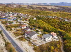 Мафия бессмертна: подробности скандального дела с экс-главой Мысхако 