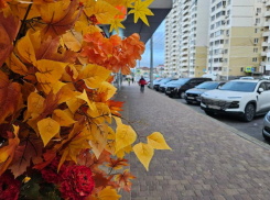 Рыбам в субботу хорошо отдохнуть душой и телом, а Львам – прогуляться по городу