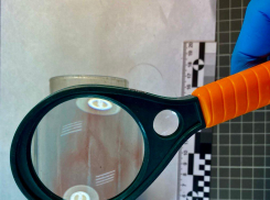 Один отвлекал, а другая воровала — мужчина и женщина предстанут перед судом в Новороссийске