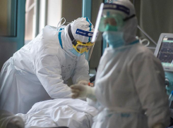 Стало известно, сколько новороссийцев заболело ковидом за сутки  