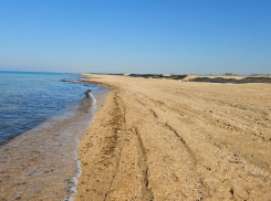 Краснодарский край первым в мире столкнулся с таким масштабным загрязнением мазутом