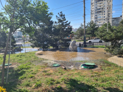 В Новороссийске забурлила канализационная река: службы отреагировали 