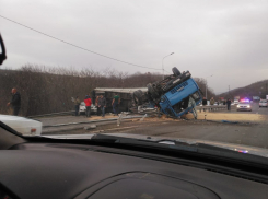 Новороссийцы проиграли борьбу с «хомяками»