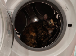 Атака беспилотников в Новороссийске: сигнал тревоги отменен, итоги жуткой ночи