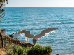 Погода в Новороссийске: солнечный понедельник с летним характером 