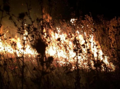 Вспыхнувшую траву под Новороссийском тушить пришлось почти 3 часа