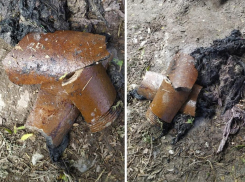 Сотрудники винзавода «Мысхако» показали, чем была забита канализация и из-за чего в море попали стоки