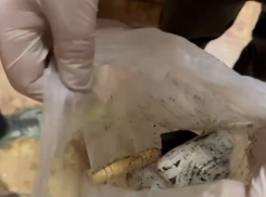  Молодой человек задержан в Новороссийске за сбыт веществ – ему грозит пожизненное 