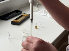 56-летний житель Новороссийска хранил почти килограмм марихуаны 