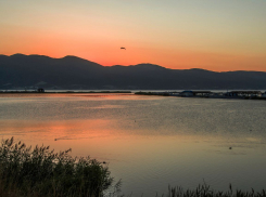 Погода в Новороссийске: солнечно и комфортно для прогулки