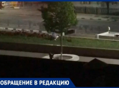 «Пусть человеку стыдно станет!» - жительница Новороссийска потопталась по клумбам