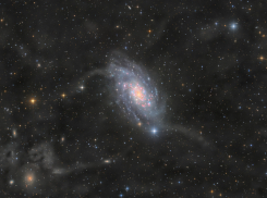 Гороскоп от “Блокнота” на 4 июня: Львам стоить быть осторожнее в общении, а Тельцам — в работе