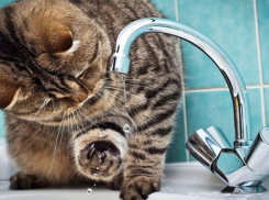 Половина Новороссийска останется без воды из-за нового водопровода