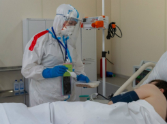 Коронавирус снова обошел Новороссийск стороной