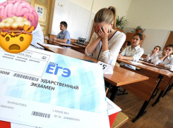 Во Всемирный день мозга поговорим о ЕГЭ