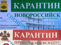 Стало известно, как новороссийцам получить пропуска на передвижение по городу 