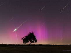 Гороскоп от “Блокнота” на 15 августа: Близнецам звезды рекомендуют провести время наедине с собой, а Весам — в компании друзей