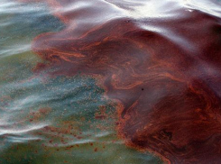 КТК намеривается обжаловать в суде сумму ущерба от разлива нефти под Новороссийском