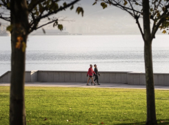 Погода в Новороссийске: ещё один весенний день в ноябре 