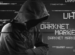 Личные данные новороссийцев могут продать в Даркнете 