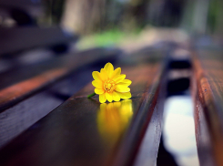 В Новороссийске наступает весна