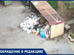 В мусорках Южного района Новороссийска «подкидыши»