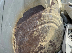 Новороссийка нашла окаменелости гигантской ракушки