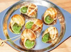 Под Новороссийском открылась улиточная ферма 