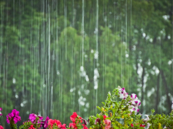 Сегодня новороссийцам понадобятся зонты: обещают ливень 