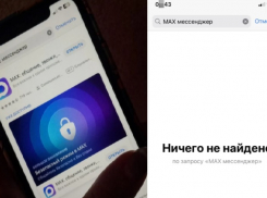 Это санкции: в Apple объяснили, почему удалили МАХ из App Store
