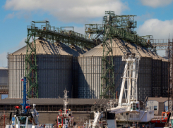 Зерновой терминал в Новороссийске станет еще мощнее 