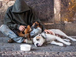 Бездомных Новороссийска теперь будут учитывать