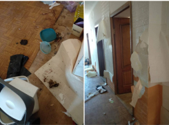 «Мы даже паспорта не видели»: вторая сторона «арендного» конфликта в Новороссийске 