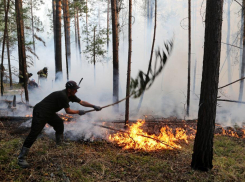 Новороссийцы жгут: в городе-герое продолжают наказывать нарушителей противопожарного режима