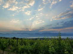 Пятничная погода порадует новороссийцев 