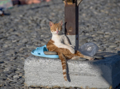 Погода в Новороссийске: штормовое предупреждение - возможен дождь
