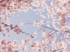 Никаких сокращений: стал известен режим работы в преддверии 8 Марта