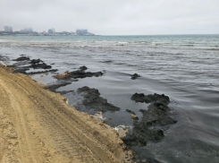 Вонючие водоросли в Анапе так и не убрали
