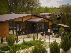 Рыбалка, баня и отдых в беседках — всё для идеальных выходных в «Терзи»