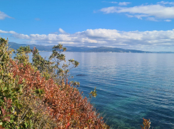 Дешево или дорого: сколько стоят отели на Черном море на майские праздники