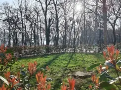 Стрельца ждут приключения, а Рыбам — пора отдохнуть