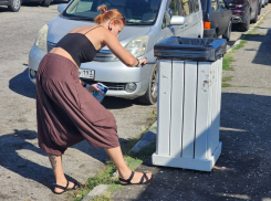 Предприниматели Южного района Новороссийска навели уборку на территории и покрасили урны