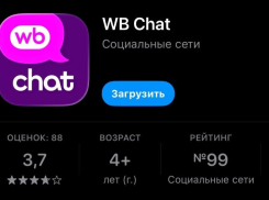 Wildberries выходит на новый уровень: компания запустила собственный мессенджер