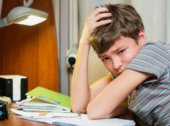 Разумная нагрузка: могут ли новороссийских школьников освободить от «домашки»