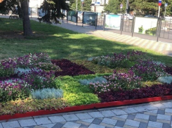 Переносные клумбы появились в Новороссийске
