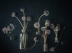 Фотограф передает боль и красоту в свои работах — выставка в Новороссийске (0+)