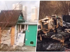 «Кому помешал, зачем..»: в Новороссийске сгорел «кошкин дом»