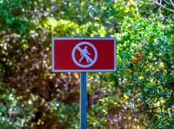 Напоминание для “отдыхаек” на природе — в Новороссийске действует особый противопожарный режим