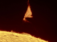 Гороскоп от “Блокнота” на 3 сентября: Девы, Скорпионы и Стрельцы могут столкнуться с некоторыми трудностями